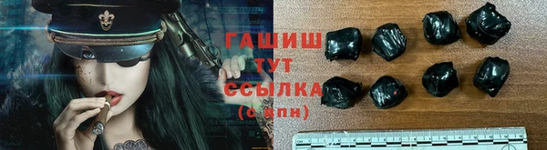 индика Беломорск