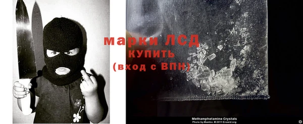 индика Беломорск