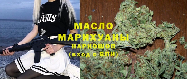 индика Беломорск