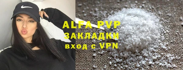 индика Беломорск