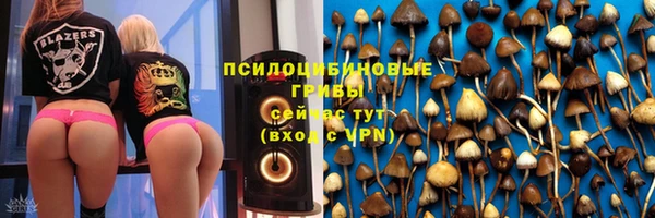 jwh Белокуриха