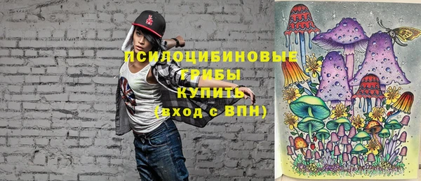 2c-b Струнино